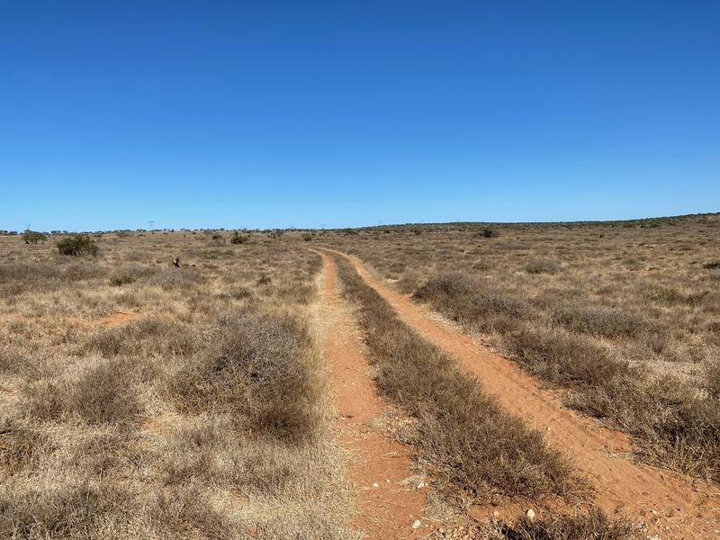 0 Bedroom Property for Sale in Kirkwood Eastern Cape